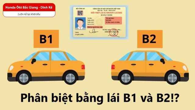 Bằng lái xe B1 và B2 có gì khác nhau?