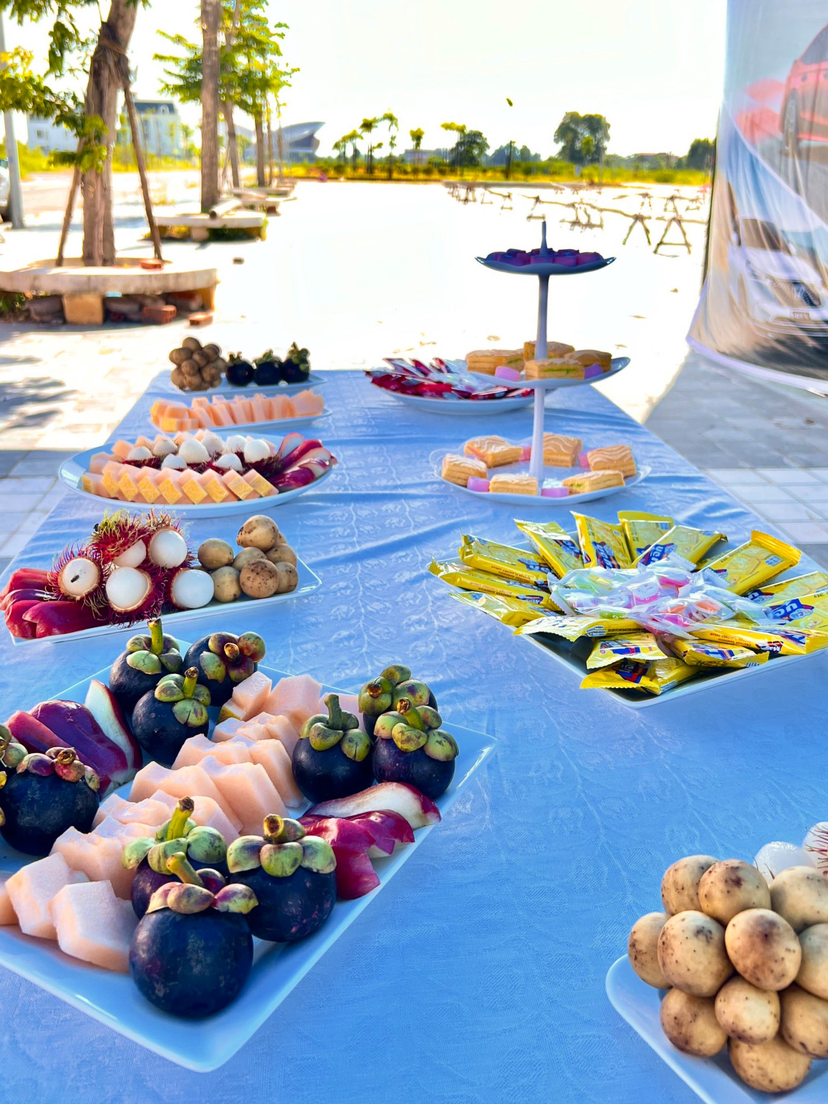 1ebf635b5045931bca54