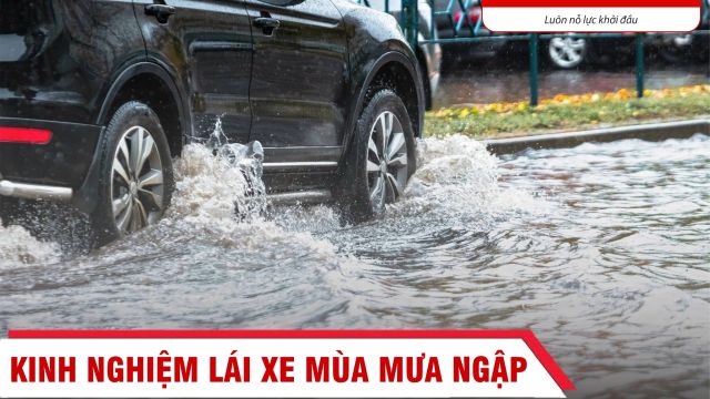 Hậu quả khôn lường khi xe bị ngập nước và cách giảm thiệt hại cho chủ xe ô tô.