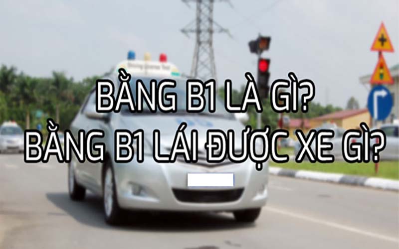 Bang-lai-xe-o-to-B1-la-gi