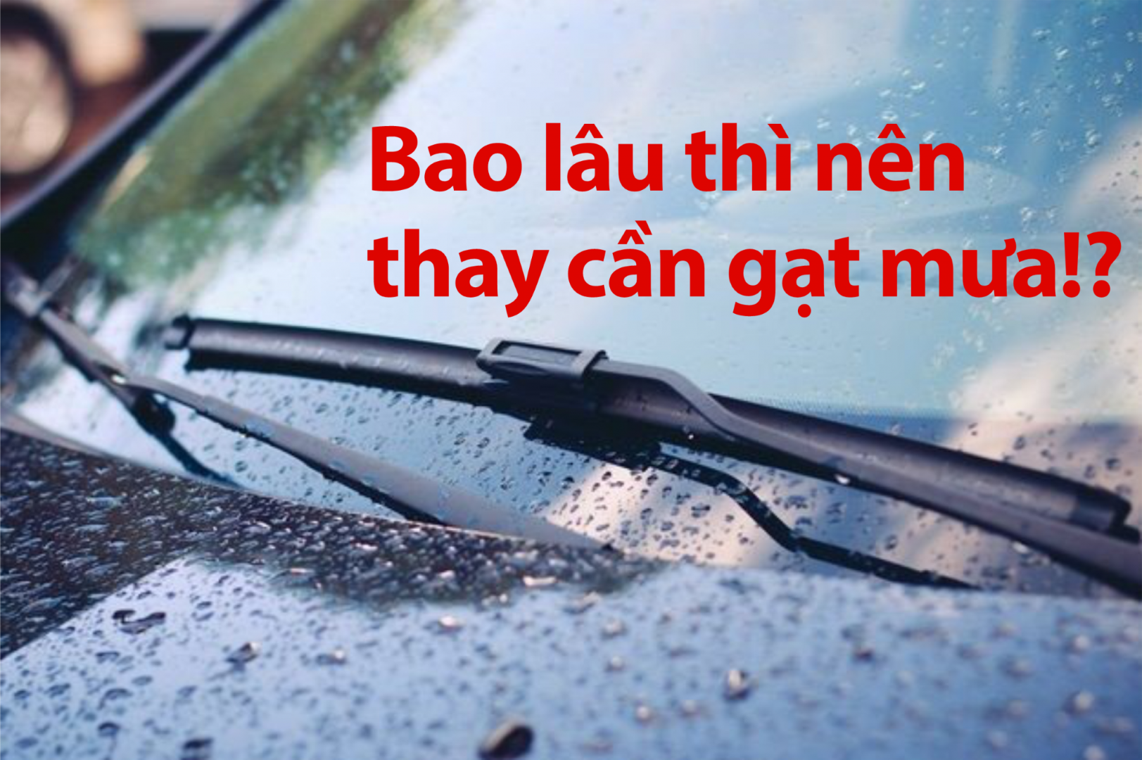 BAO LÂU THÌ NÊN THAY CẦN GẠT MƯA Ô TÔ